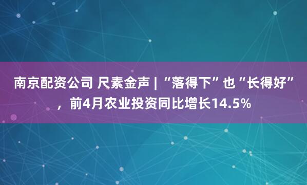 南京配资公司 尺素金声 | “落得下”也“长得好”，前4月农业投资同比增长14.5%