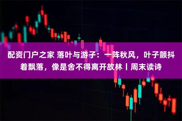 配资门户之家 落叶与游子：一阵秋风，叶子颤抖着飘落，像是舍不得离开故林丨周末读诗